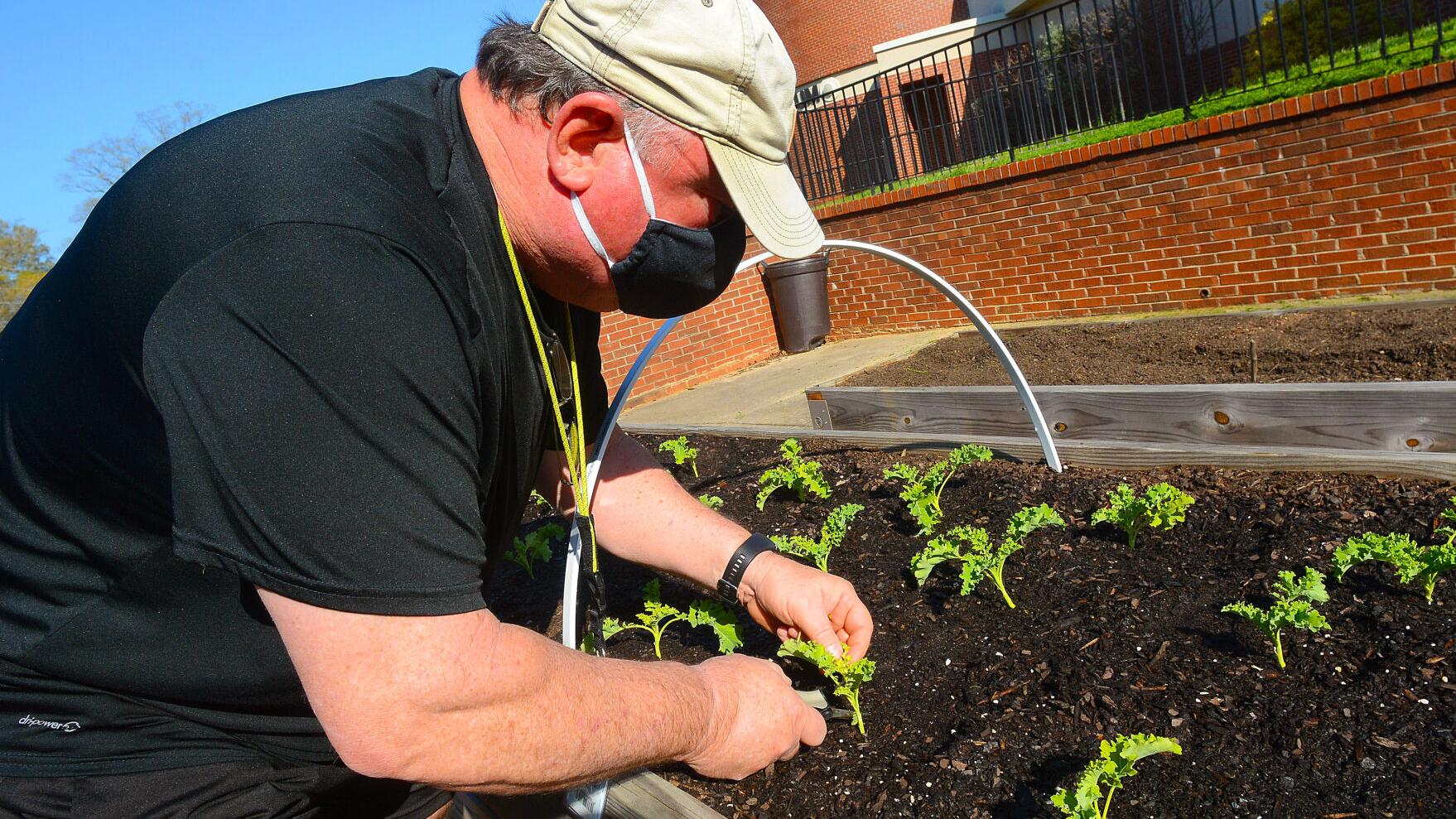 Gardening nonprofit still looking to grow after 5 years - Vimarsana News
