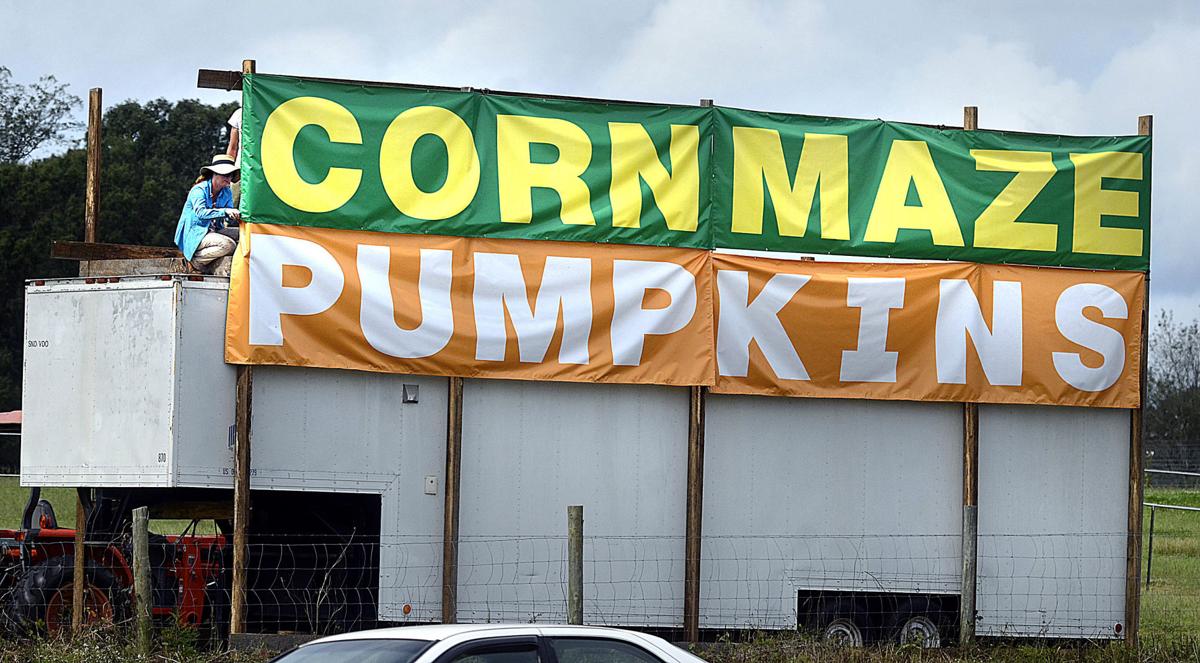 Fall Is Fun From Pumpkin Patches To Festivals And Haunted