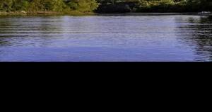 Column: A humble end on a mighty river - Vimarsana News