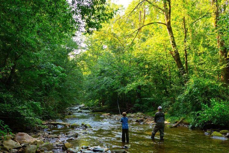 Top 25 Things to Do in the Blue Ridge Mountains