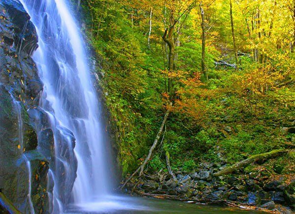 Top Adventures to See Fall Color in the Blue Ridge Mountains