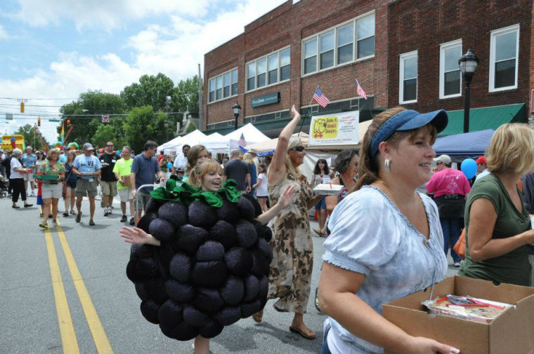 Blackberry festival this weekend may be last for Lineberger farm