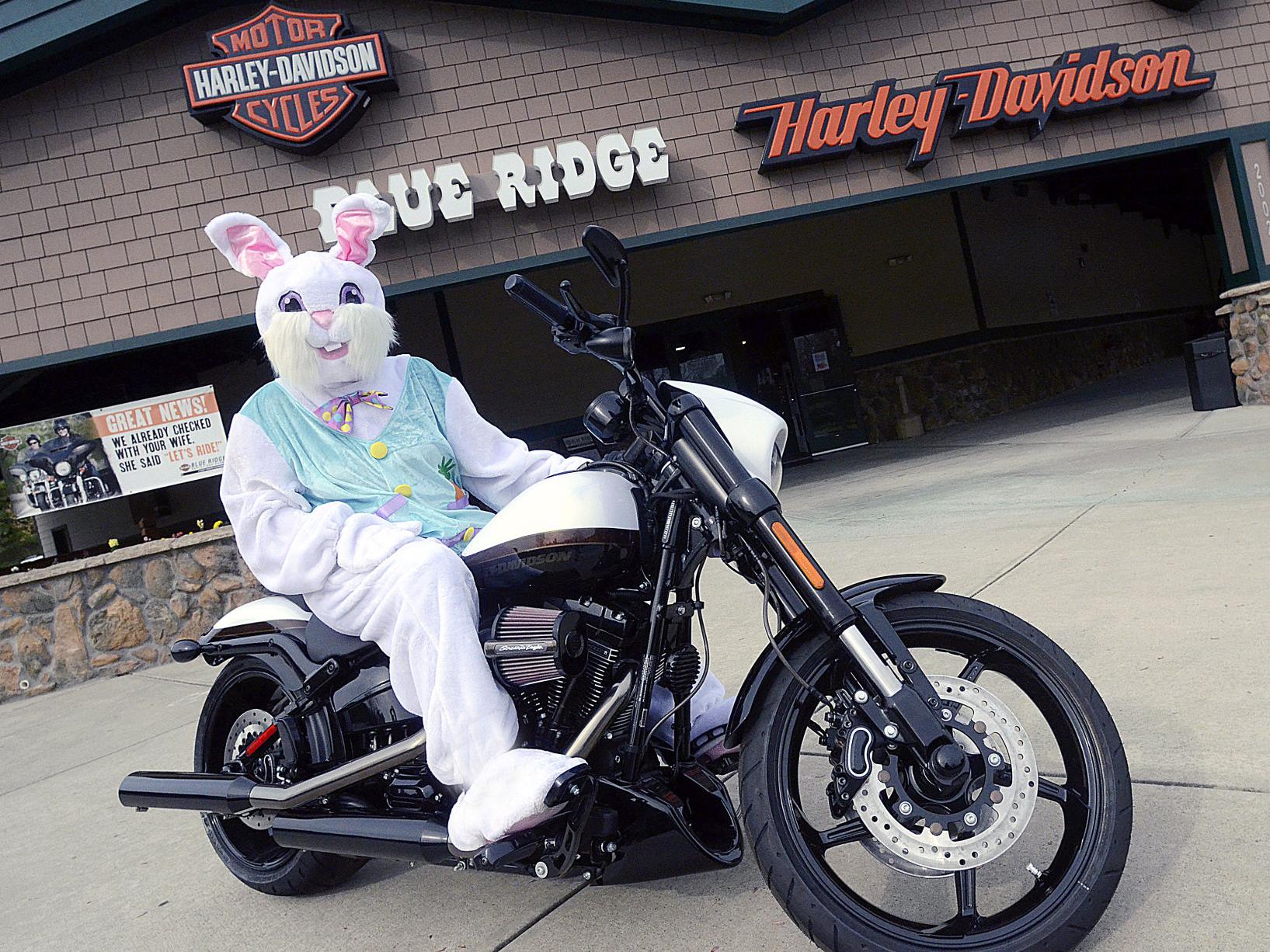 Blue Ridge Harley Davidson 2002 13th Ave Dr Se Hickory Nc 28602 Usa