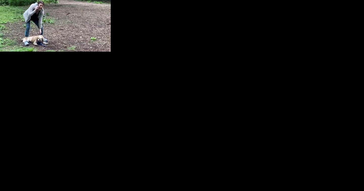 The Black birdwatcher who recorded a viral clash with a white woman in NYC will host TV show - Vimarsana News