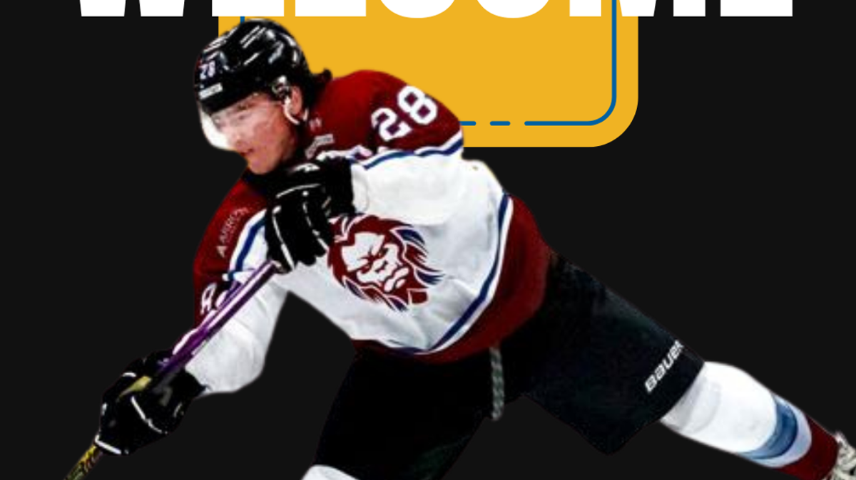 Bobcats Bring Back Eison Nee For Second Shot In Training Camp