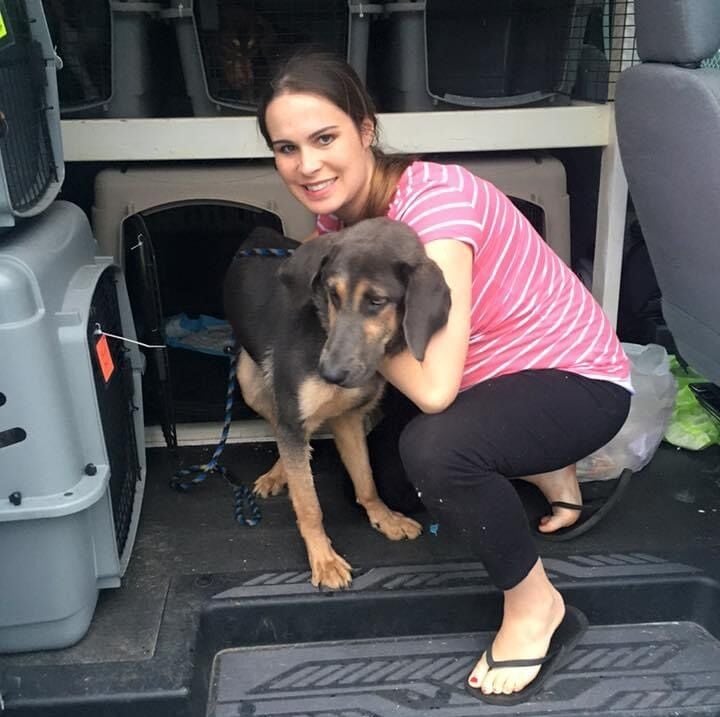 Animal rescue flip flops best sale