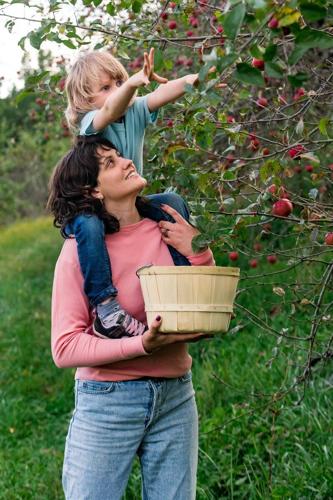 Gastronomic Bliss: Fresh Farm-to-Table Finds in the Blue Ridge