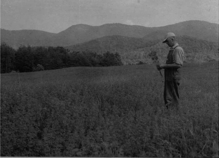 Author weaves memories of Pilot Mountain School into book