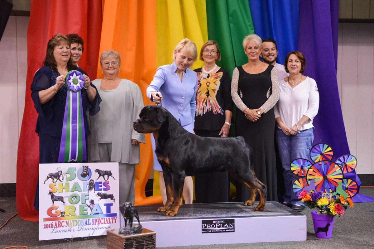 Local dog takes home major honors at American Rottweiler Club National