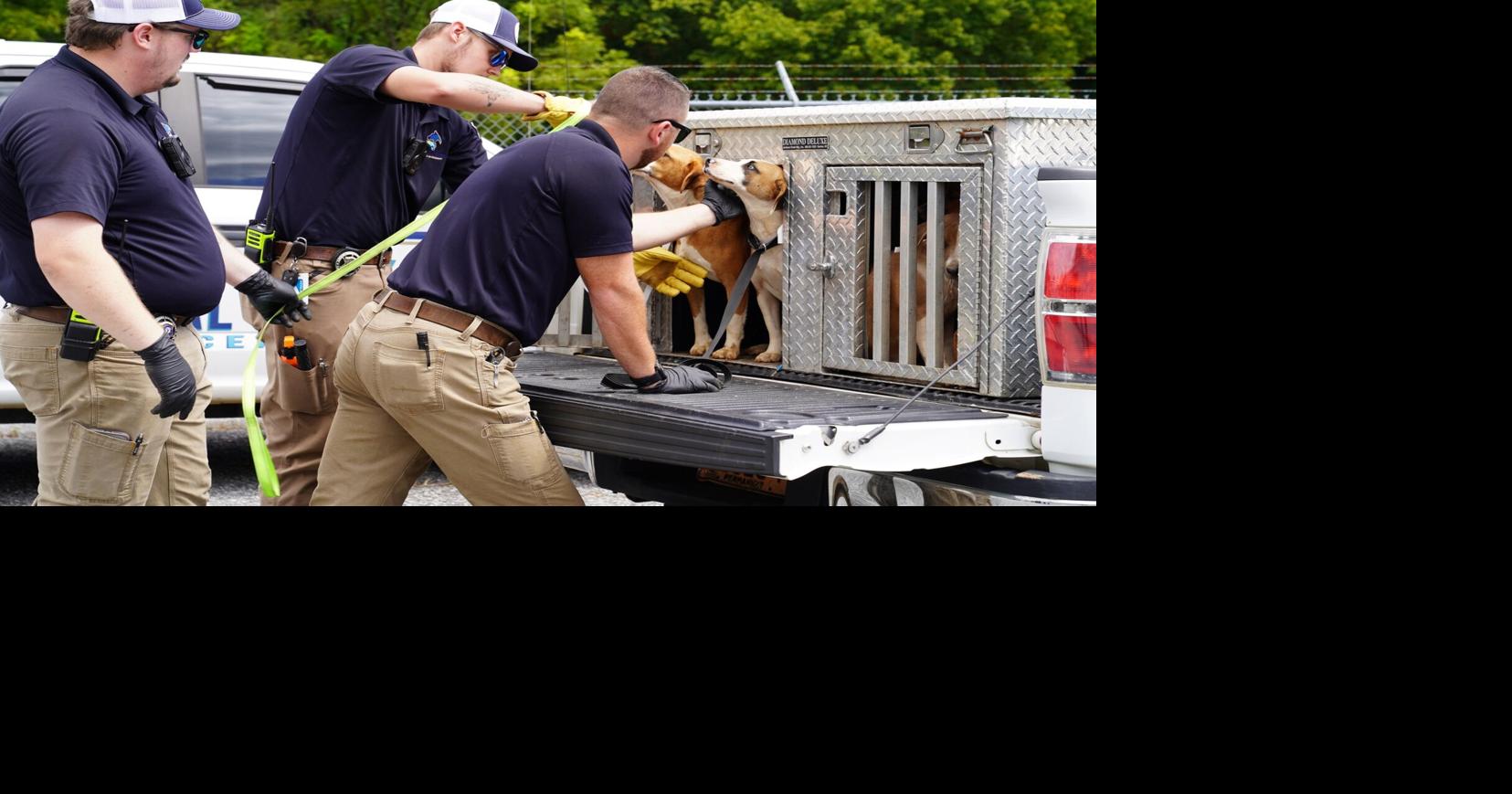 Lenoir NC women charged with 59 counts of animal cruelty