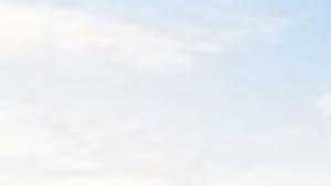 Harris Teeter Store In Hickory Converting To Lowes Foods Latest Headlines Hickoryrecord Com