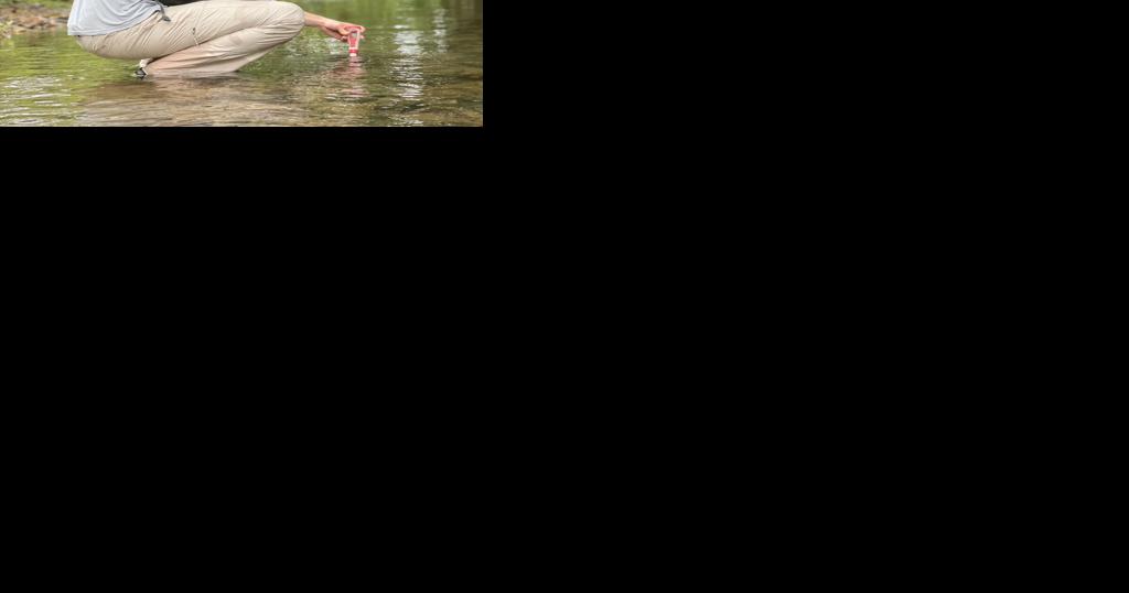 Restoration plans details path to improved water quality in Catawba River, Lake Hickory - Vimarsana News
