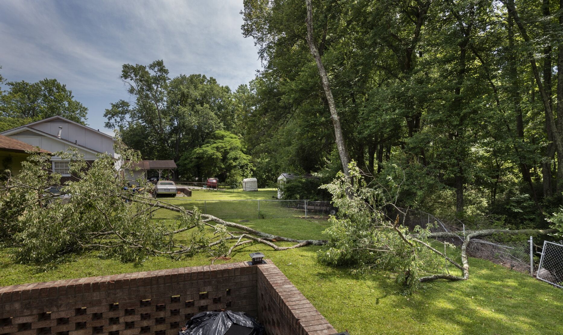 Airport Erosion Fallen Tree Brenda Glover