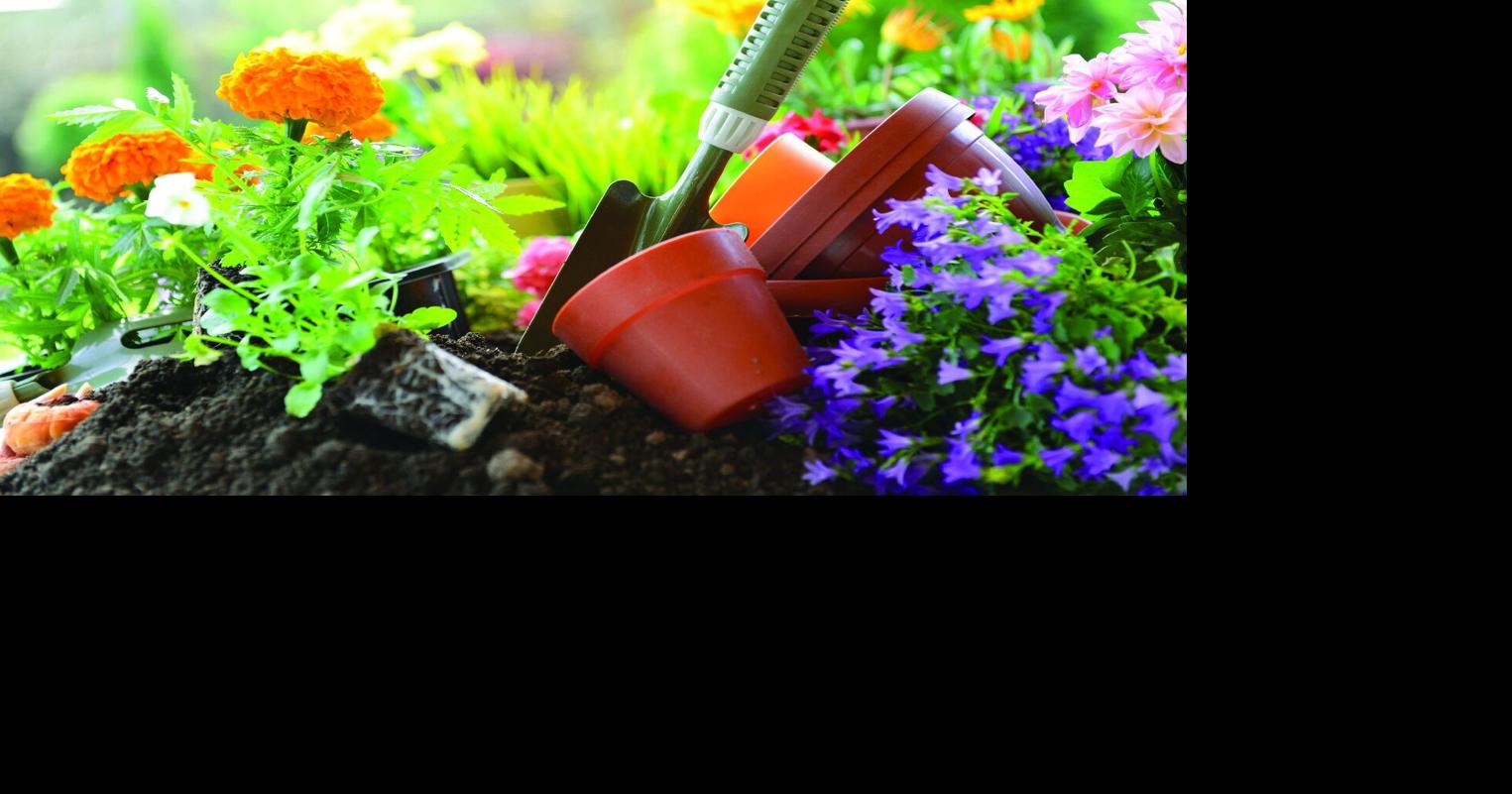 Alexander County arborist: Gardening provides many benefits, including to your health