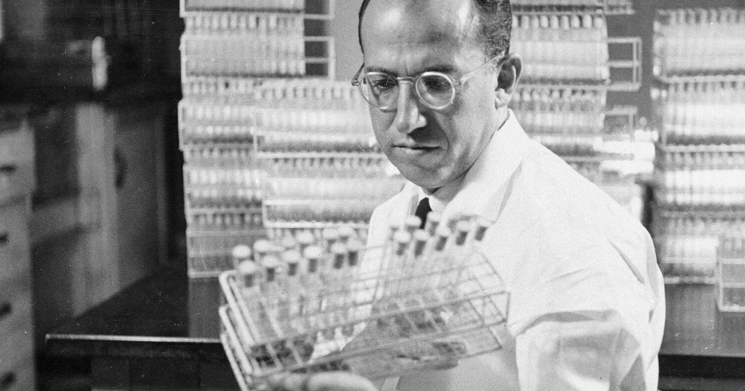 Unsure whether you had a polio vaccination? How to find your NC shot record. - Vimarsana News