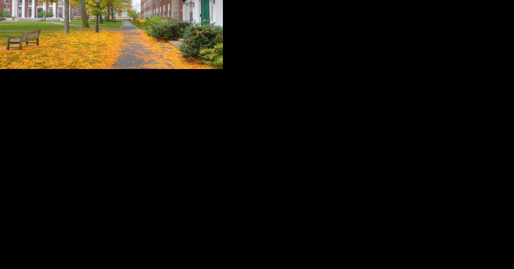 Column: Learn to think, write and collaborate with a liberal arts degree - Vimarsana News