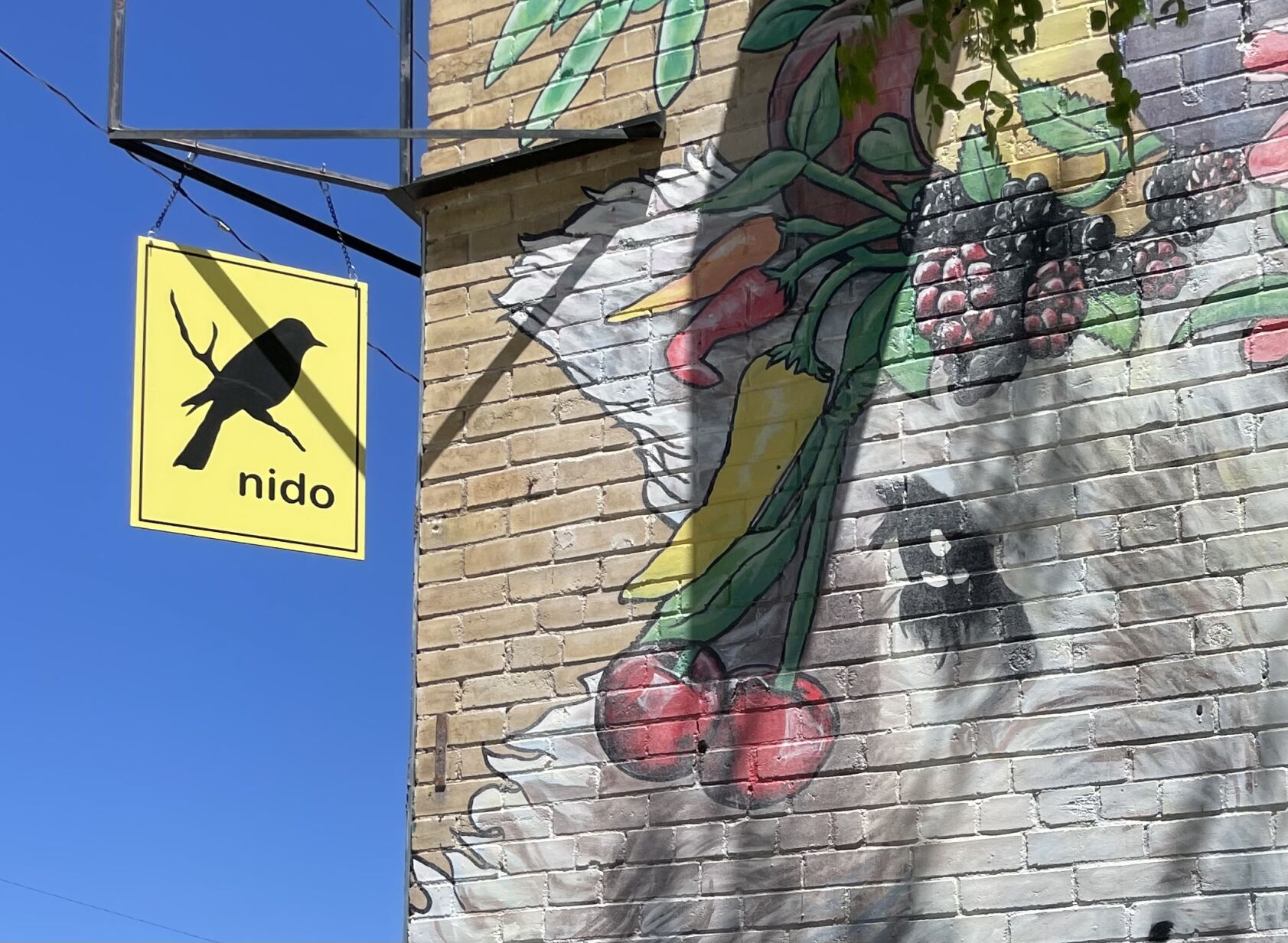 Nido Episode II – Return of the Taco | Spotlight