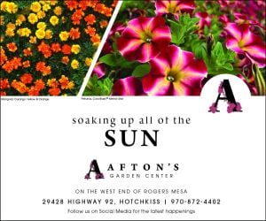 advertisement