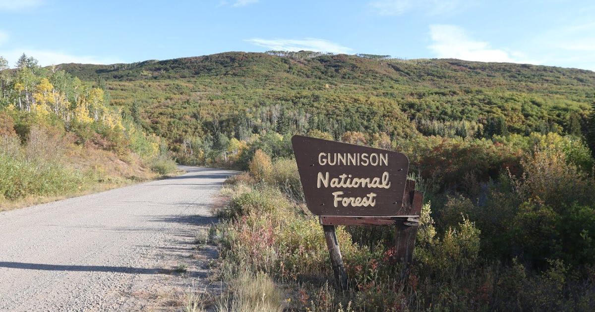 Road Reconditioning Project Begins on Stevens Gulch Road | Spotlight ...