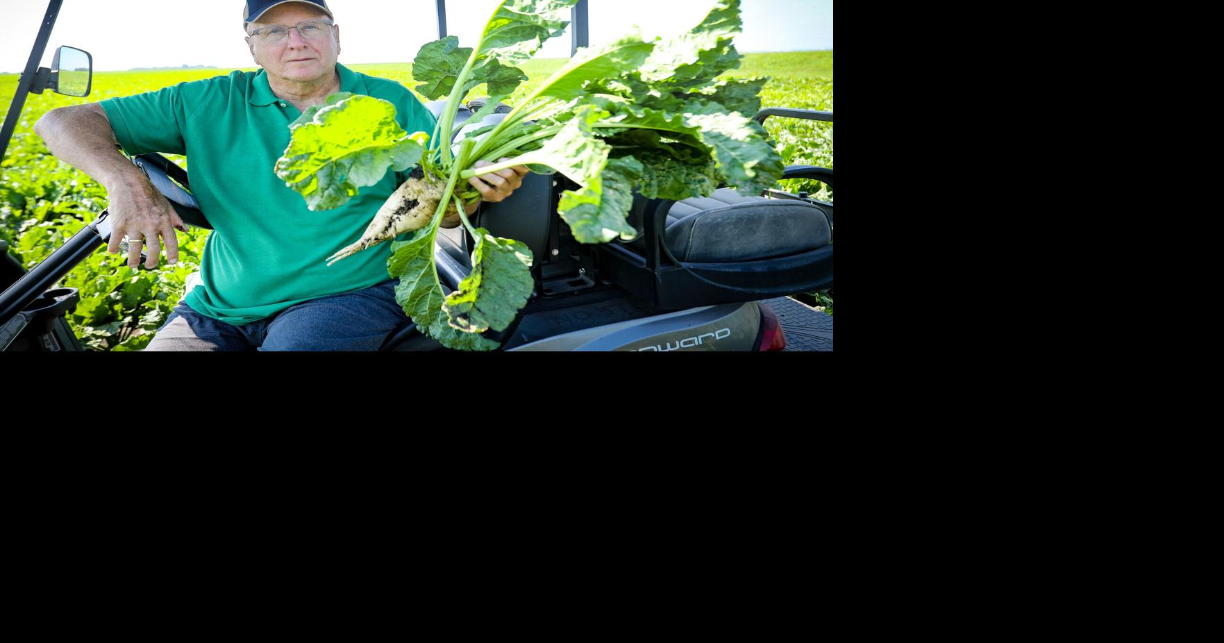 American Crystal Sugar plant marks 50 years north of Hillsboro News