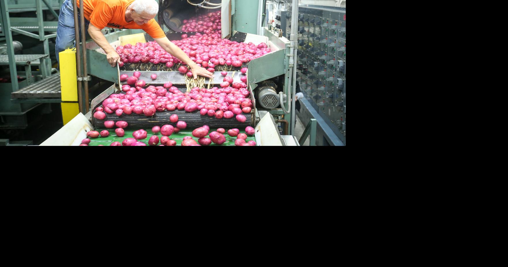 NoKota Packers planning 1.5M in new upgrades News