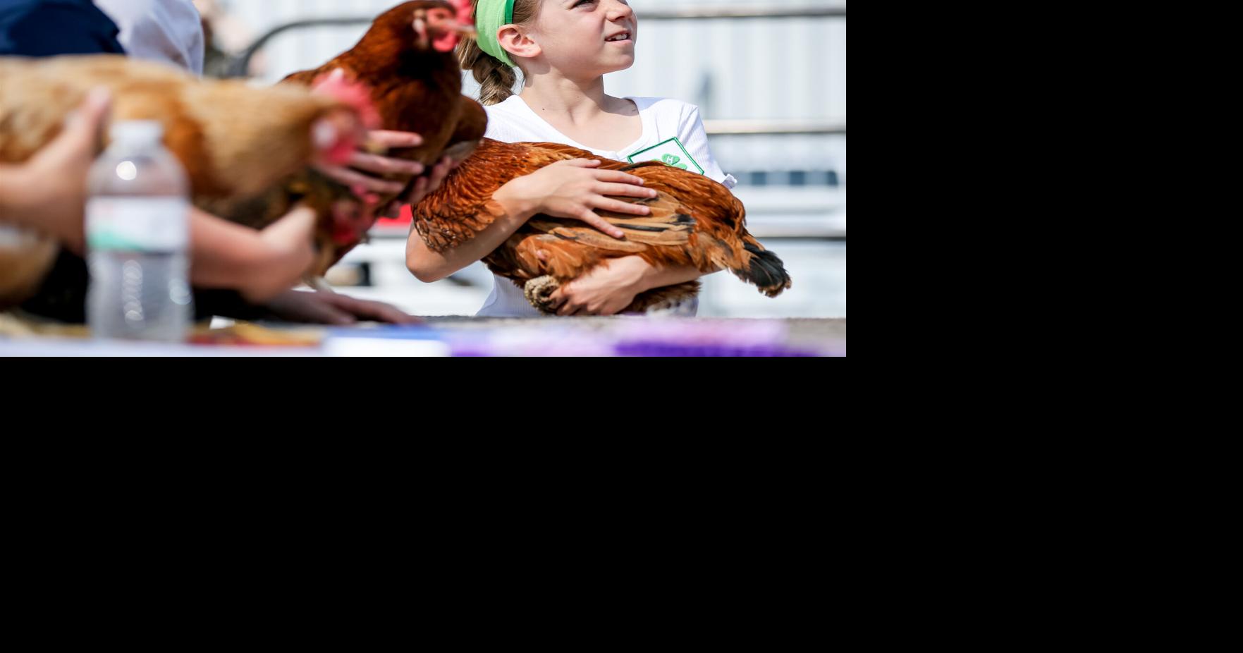 Traill County 4-H Achievement Day welcomes pet show, far more exhibits | News