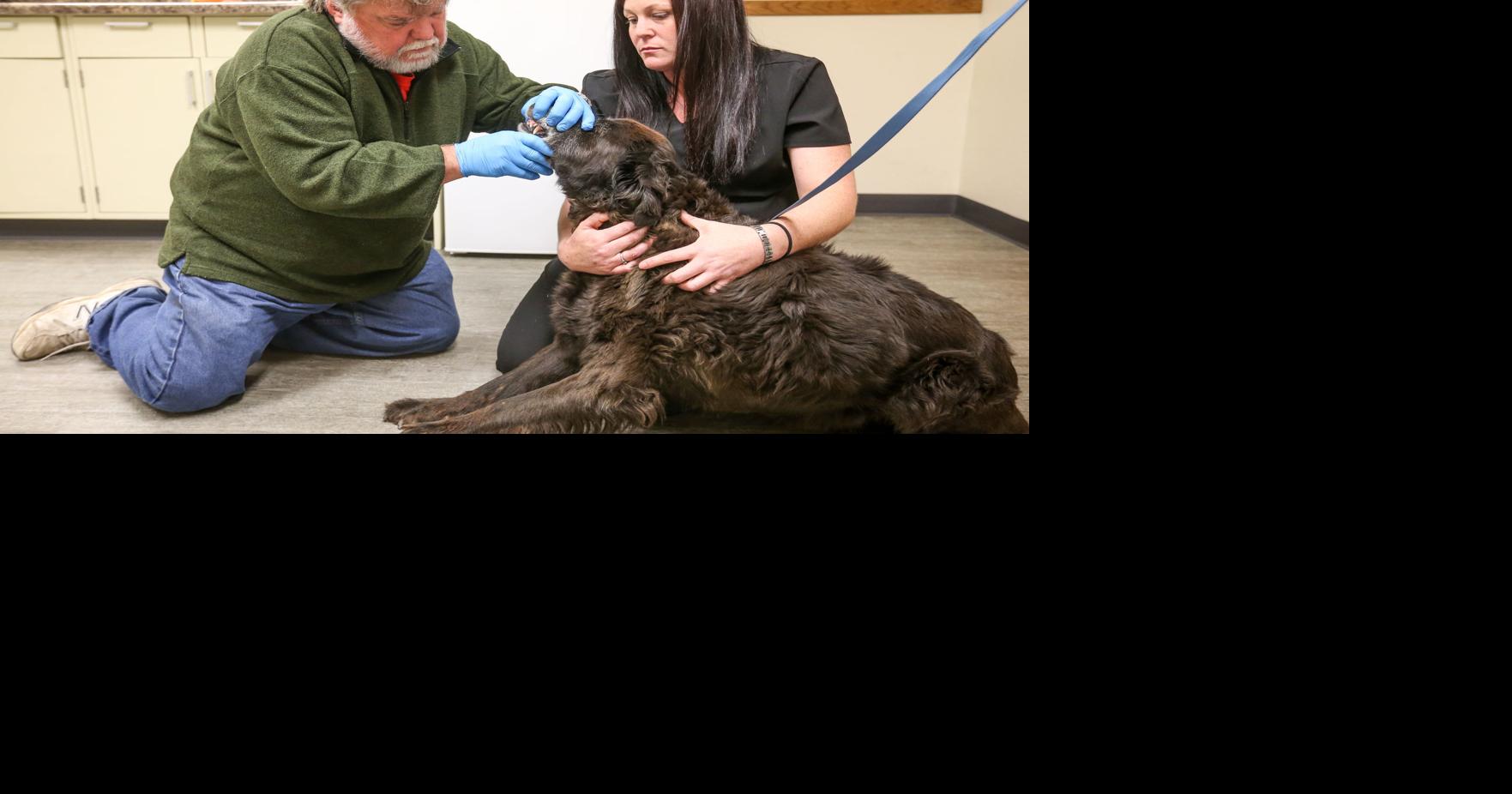 Hillsboro’s new vet marks first day on the job on Monday News