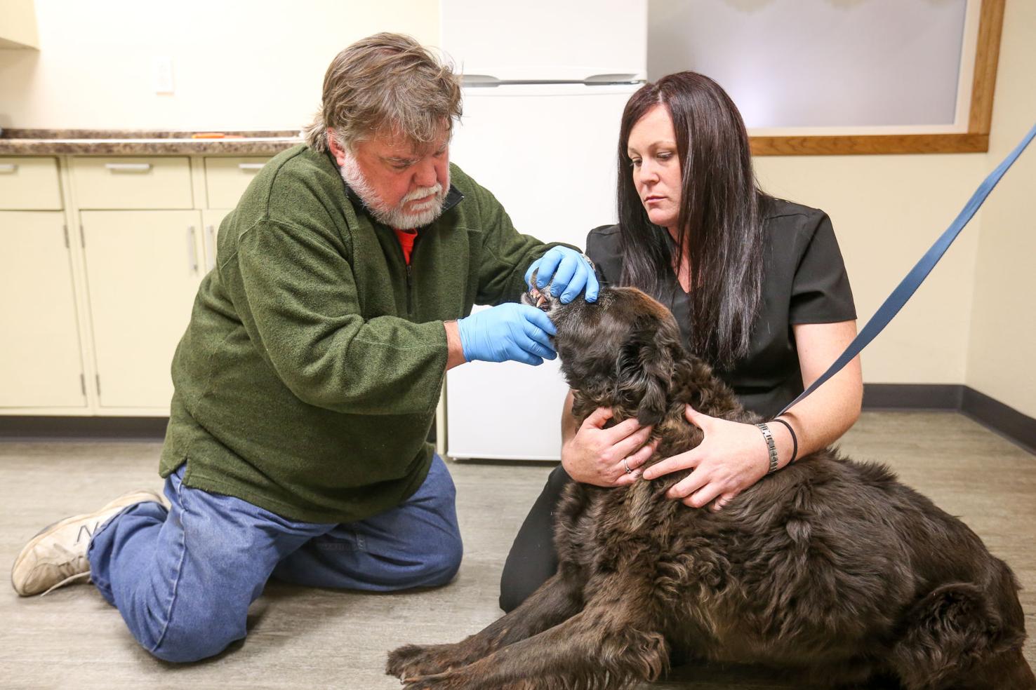 Hillsboro’s new vet marks first day on the job on Monday News