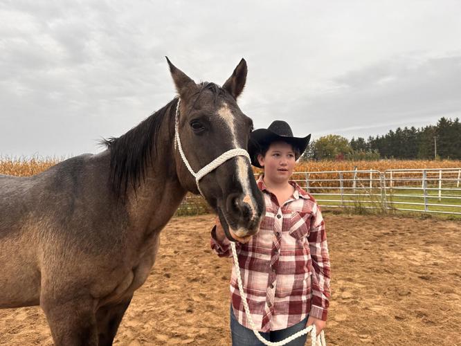 Sunset Sanctuary soft-launch: local woman to showcase equine therapy ...