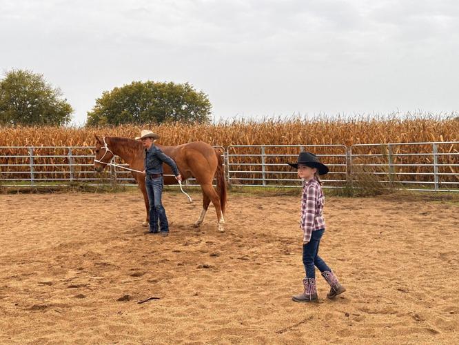 Sunset Sanctuary soft-launch: local woman to showcase equine therapy ...