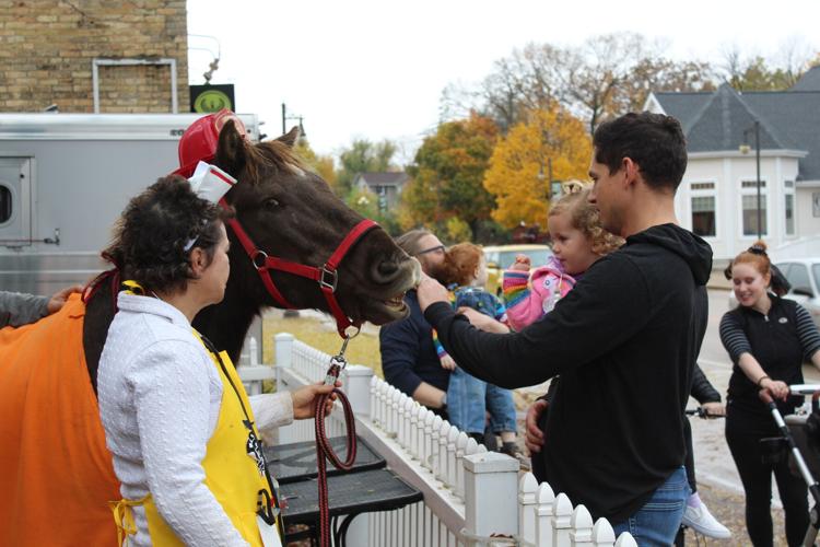 Equine visitors stop by Cambridge trick or treat Cambridge News