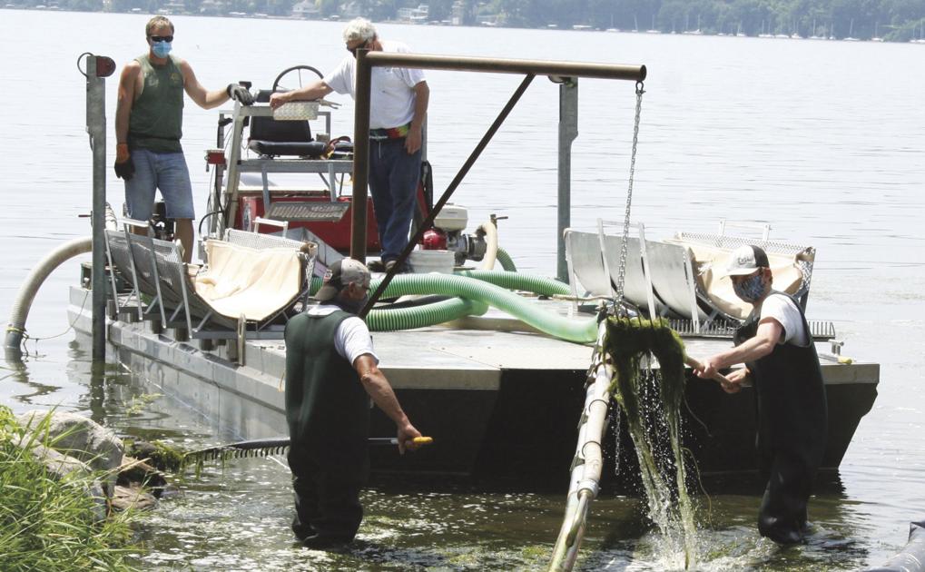 County launches new algae clean-up program | Cambridge News / Deerfield Independent - HNGnews.com