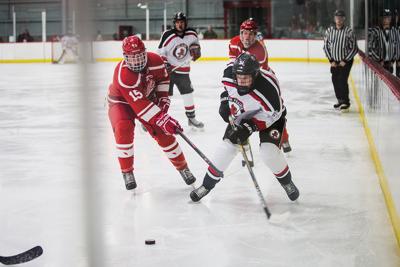 JV Hockey decision tabled | Sun Prairie Star | hngnews.com