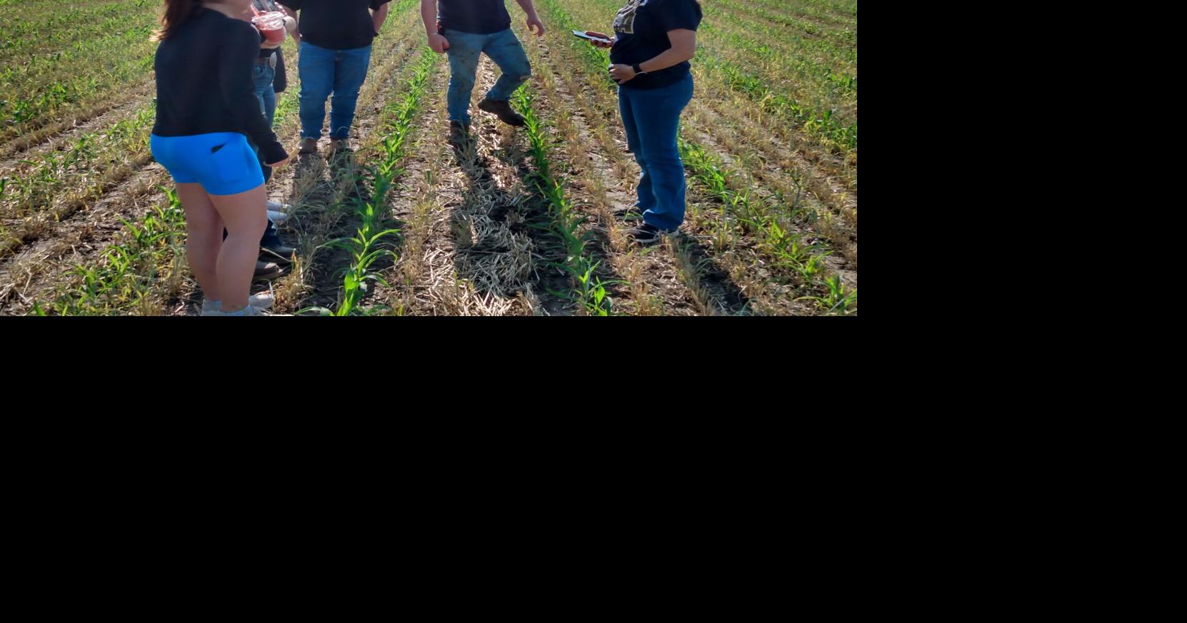 Agricultural lessons learned for years through DeForest's land lab program