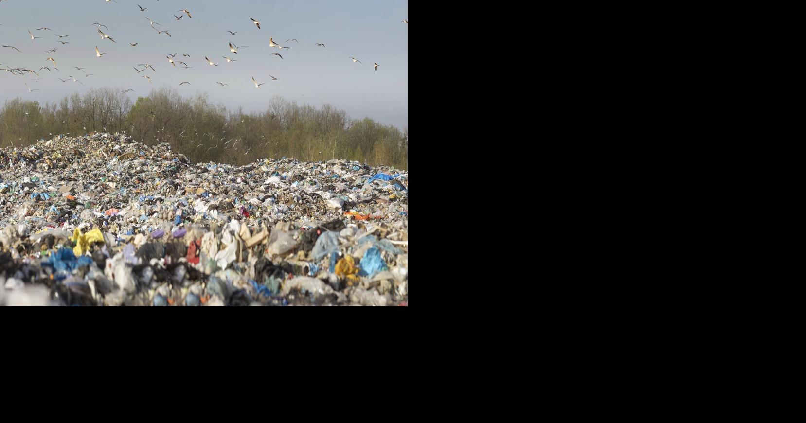 Wisconsin landfill study finds lots of wasted food State