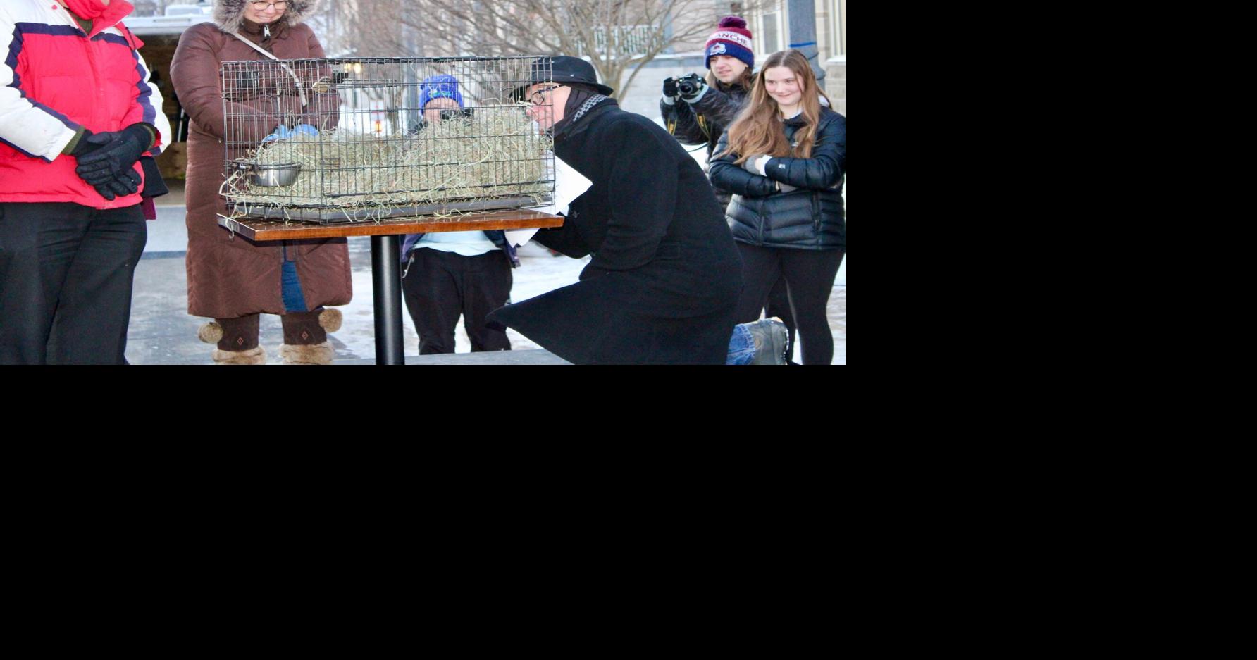 Frozen Fest and Jimmy the Groundhog return to Sun Prairie | Sun Prairie