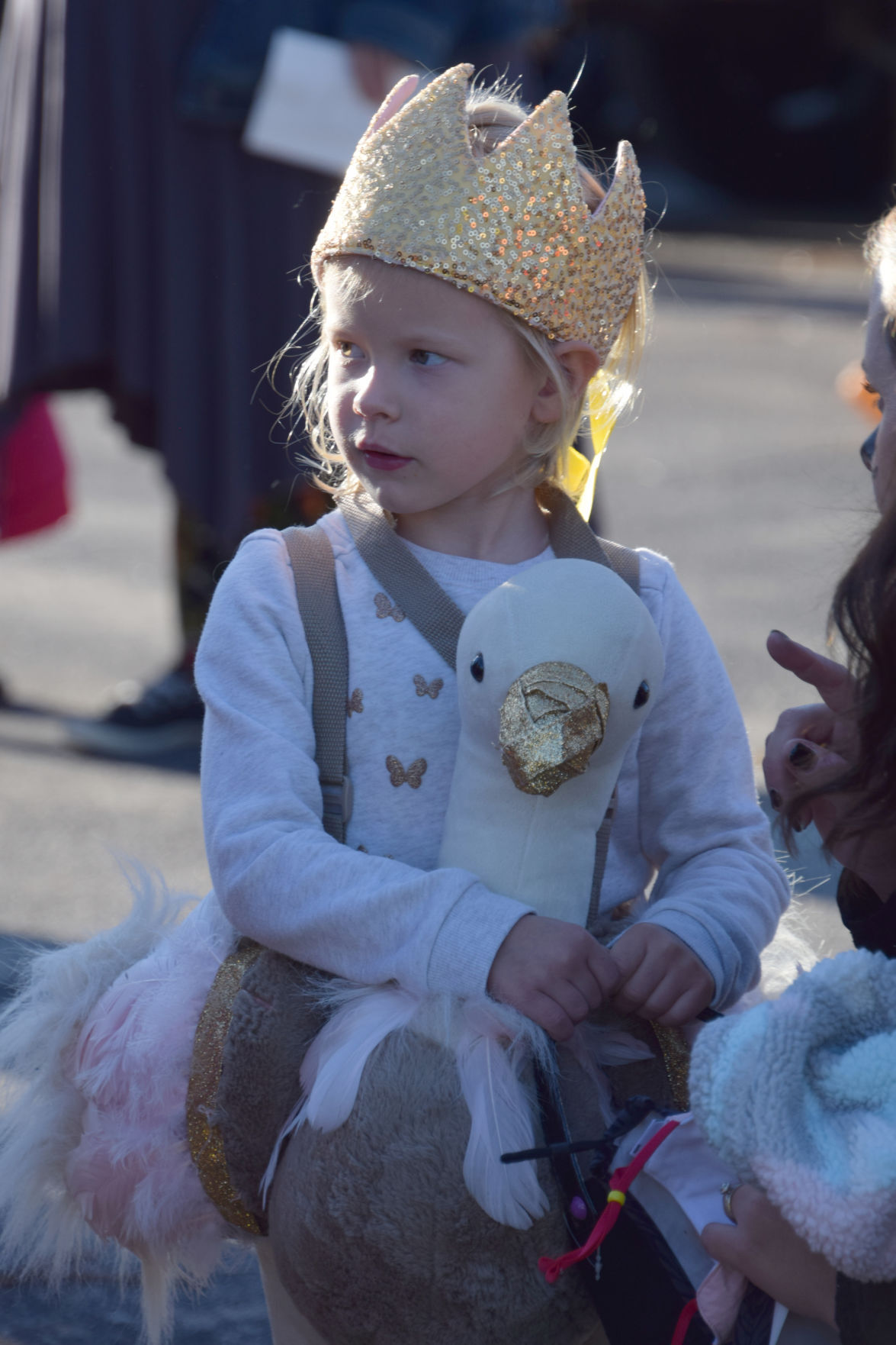 Field of Screams 4.jpg
