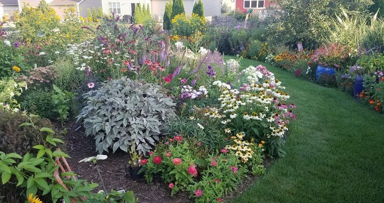 August Garden of the Month | Community | hngnews.com