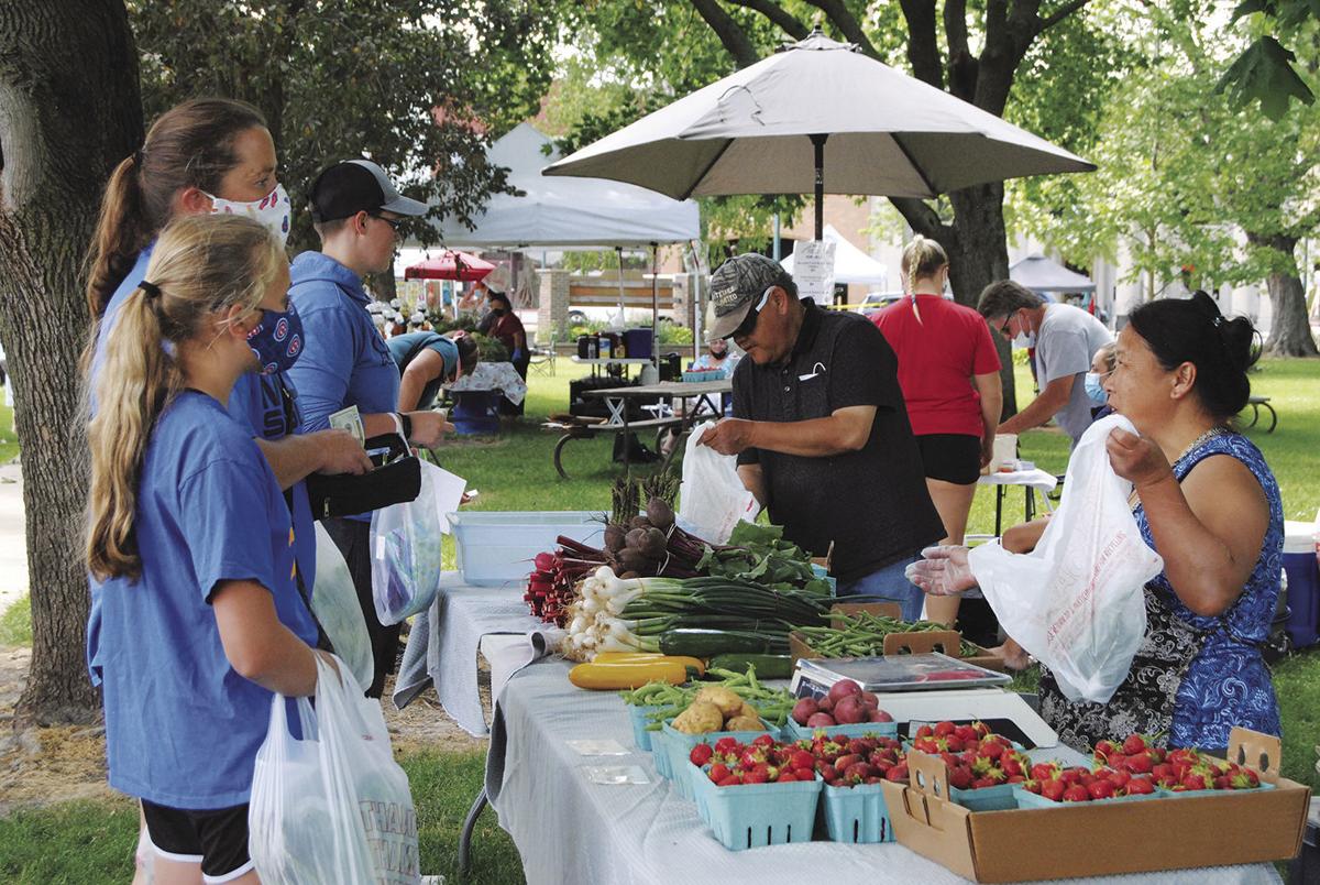 Summer at the Farmers Market