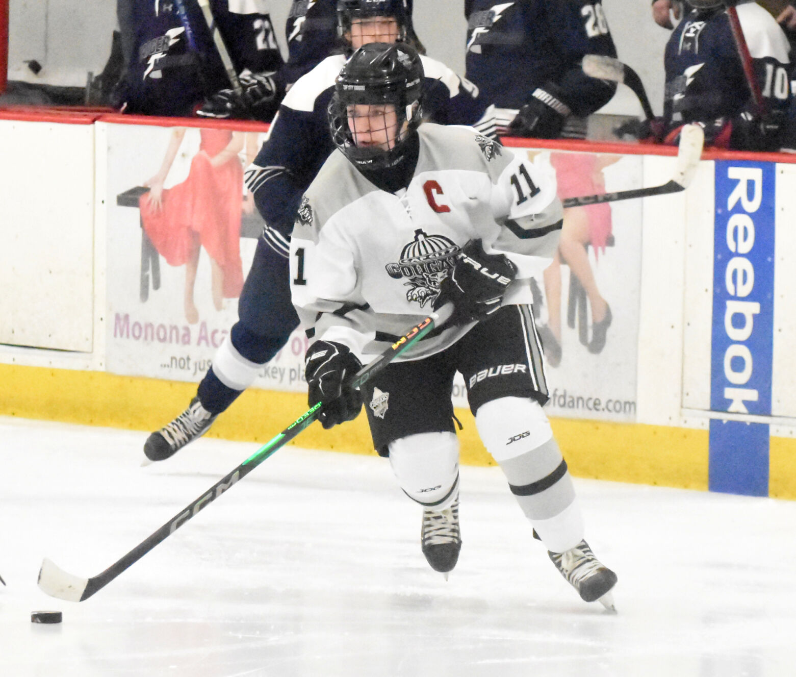 Cougars continue ripping through state tournament | Sports | hngnews.com