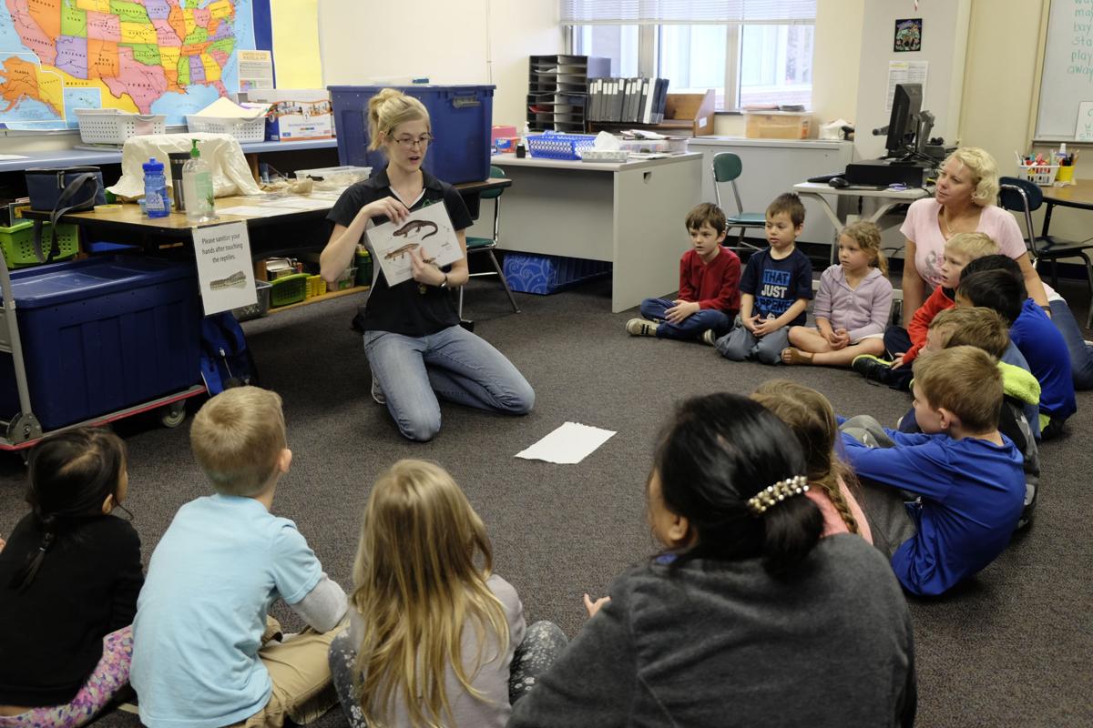 Snake Discovery at C H Bird Elementary School Community hngnews com Snake Discovery at C H Bird Elementary School Community hngnews com
