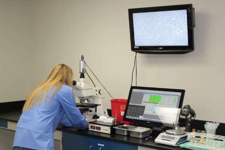 DeForest Legacy Business Series Stud Of The Industry ABS Global