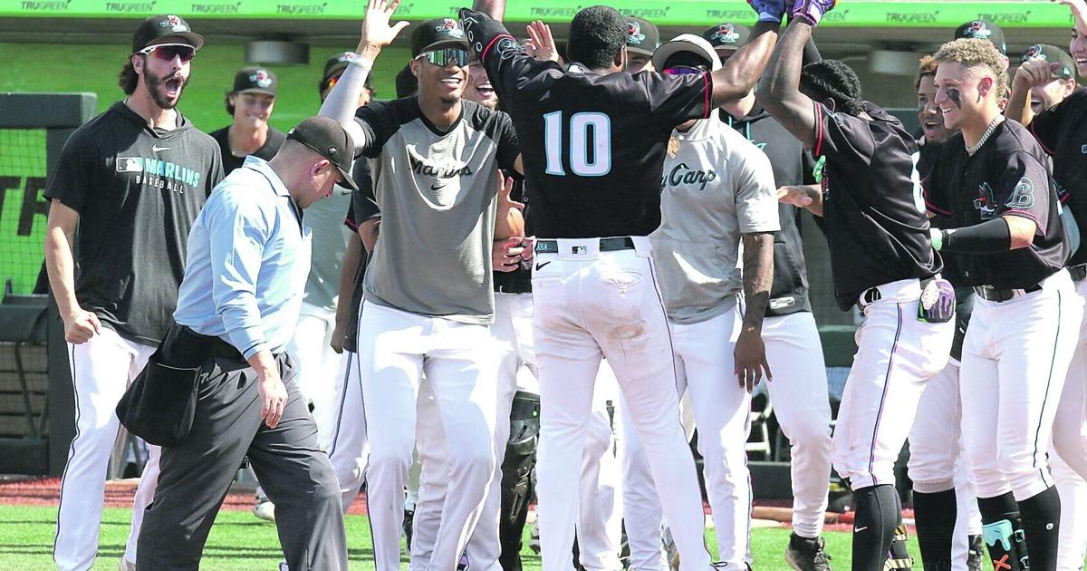 Beloit Sky Carp fall, but remain tied for first place