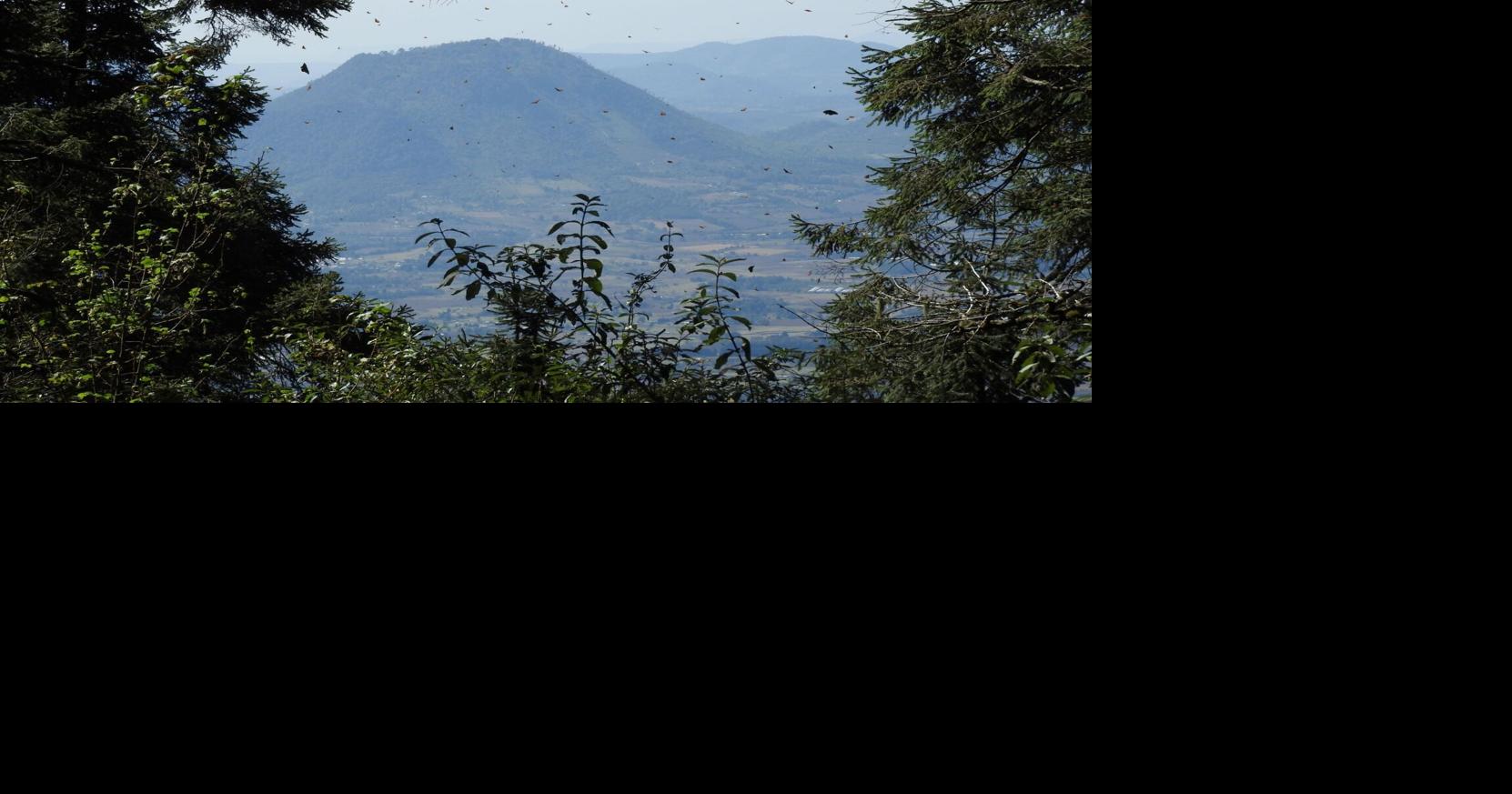 Butterflies, pyramids, and volcanoes Visiting the monarchs Arts And