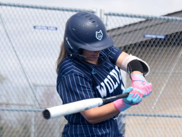 Four Sun Prairie softballers recognized by WFSCA