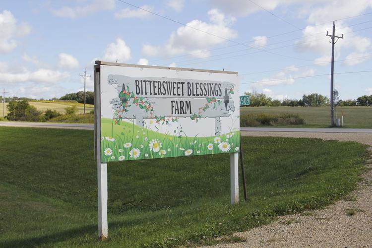 AppleFest debuts at Bittersweet Blessings Farm Cambridge News