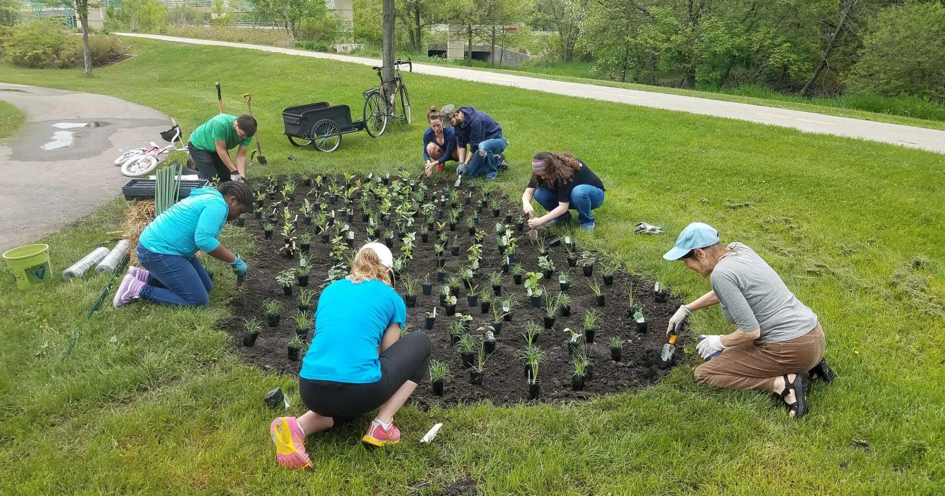 Native plants available to schools, community groups - Vimarsana News
