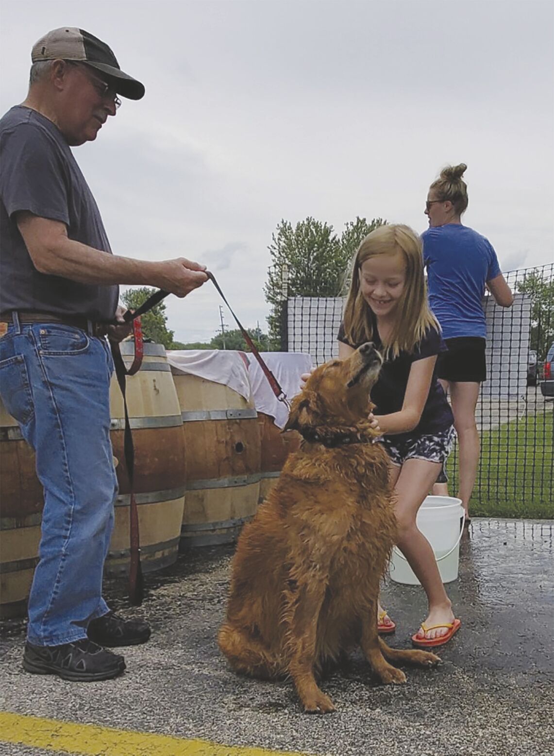 Local clearance dog wash