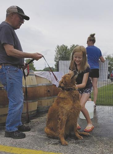 Local Dog Wash to Benefit the HSJC | Community | hngnews.com