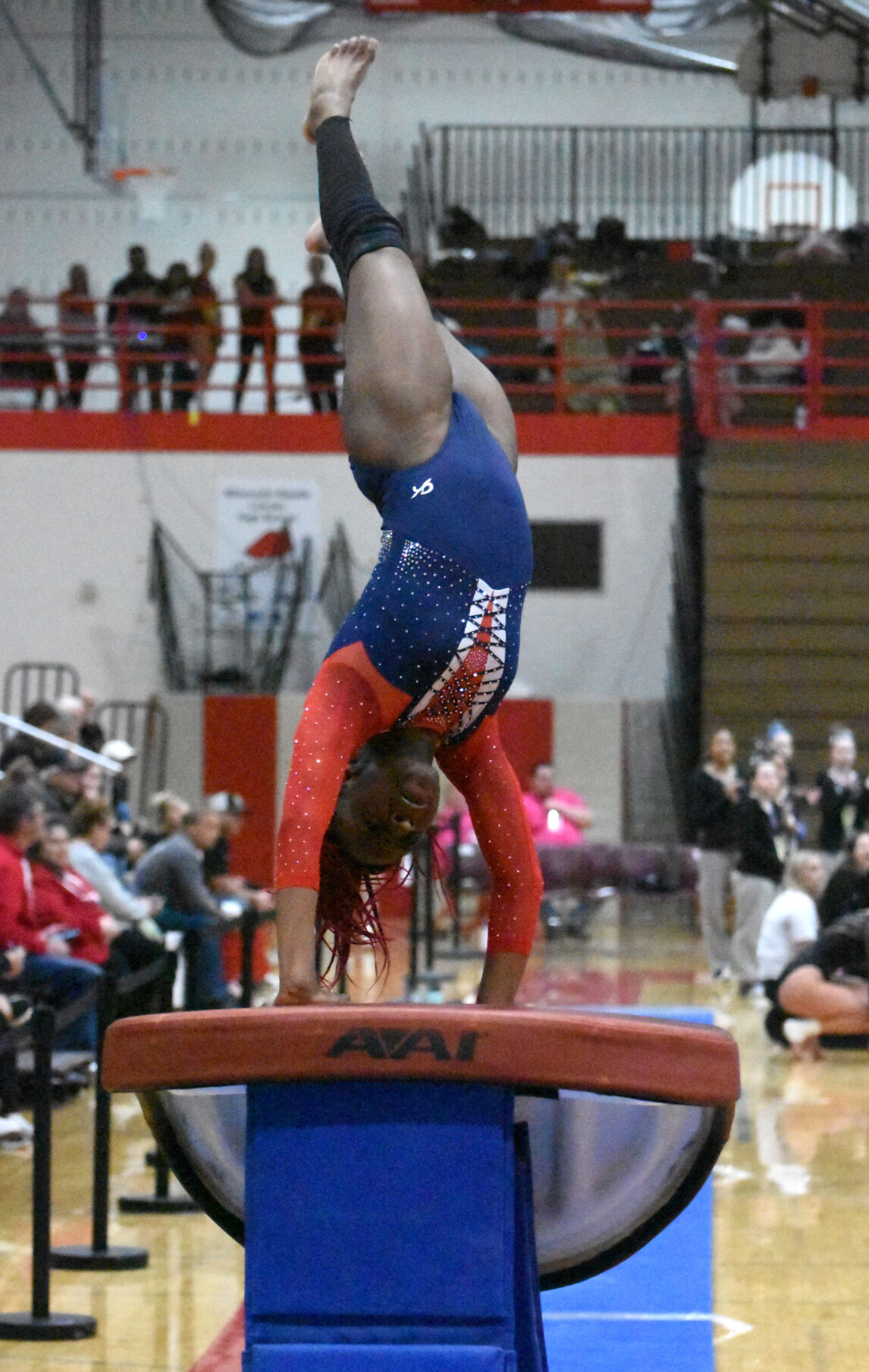 Season recap: Sun Prairie gymnastics - BVM Sports